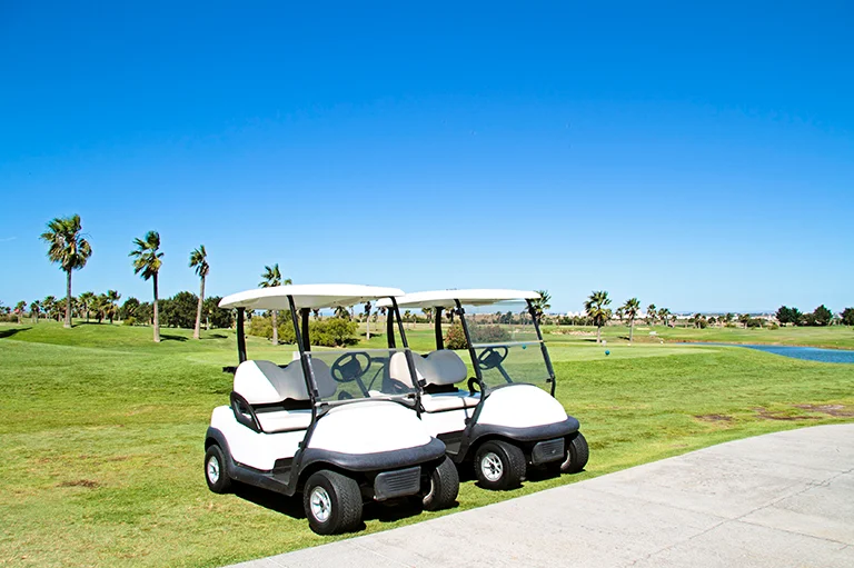Golf Cart Battery