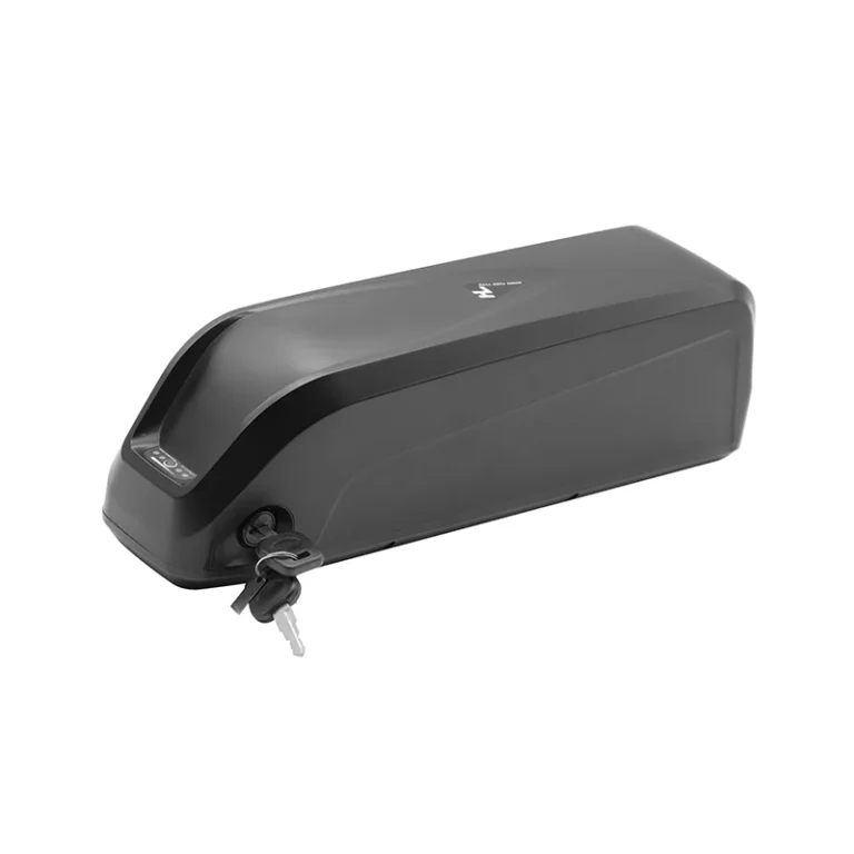 48V Hailong Battery | Hailong Plus